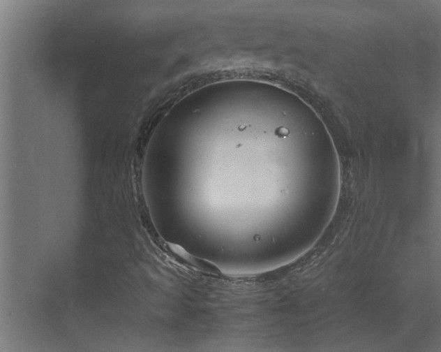 X0000070211493200605261238