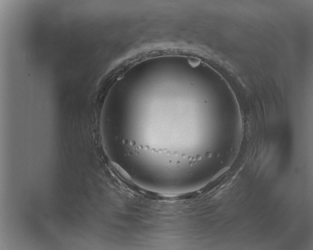 X0000070211494200605261238