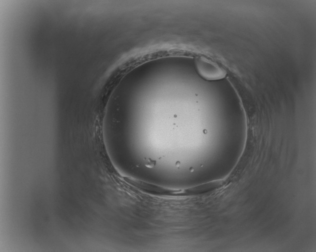 X0000070211495200605261238