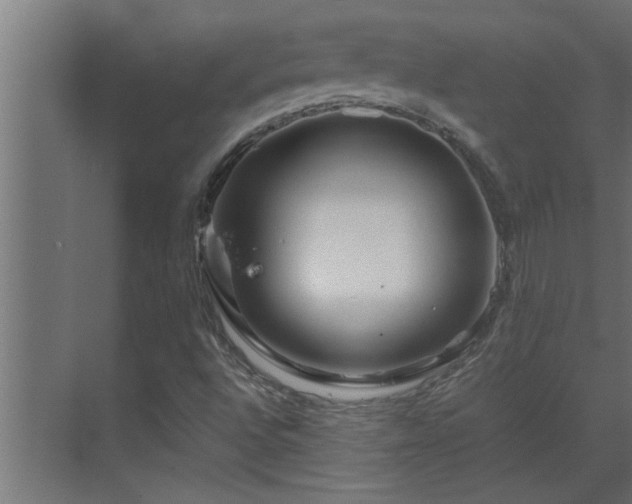 X0000070211496200605261238