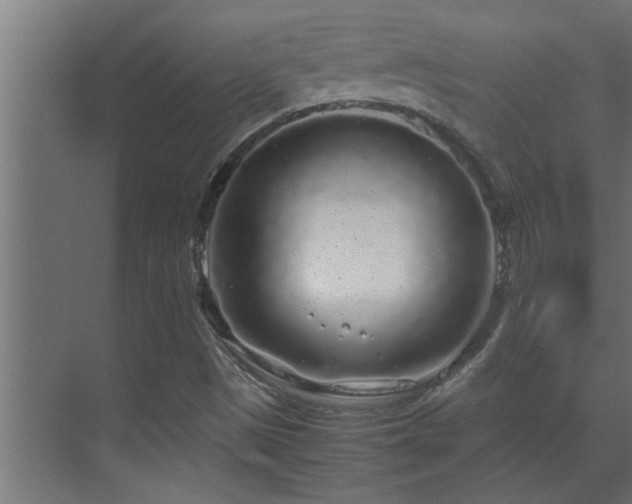 X0000070211497200605261238