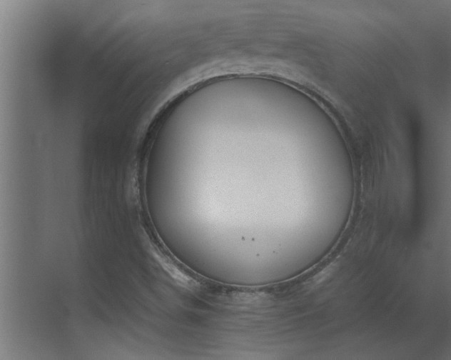 X0000070211498200605261238