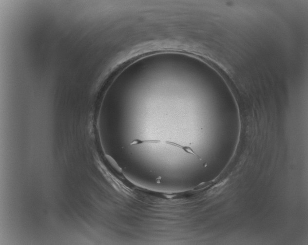 X0000070211499200605261238