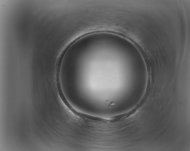 X0000070211500200605261238