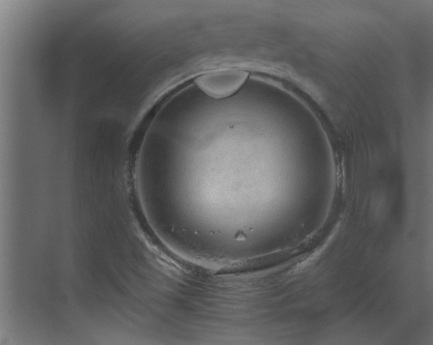 X0000070211501200605261238