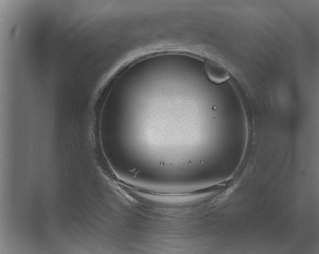 X0000070211502200605261238