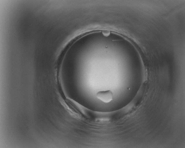 X0000070211503200605261238