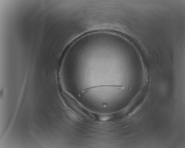 X0000070211505200605261238