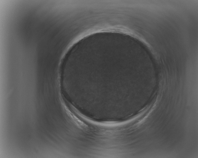 X0000070211506200605261238