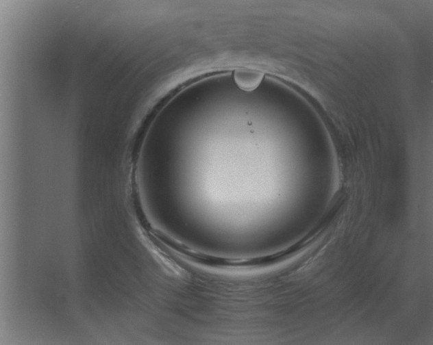 X0000070211507200605261238