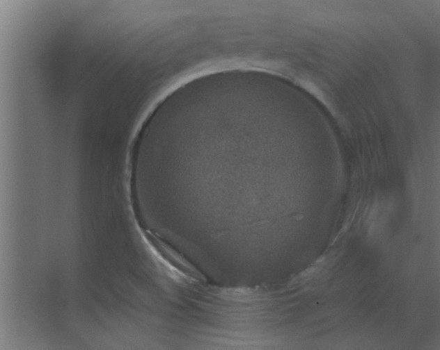 X0000070211508200605261238