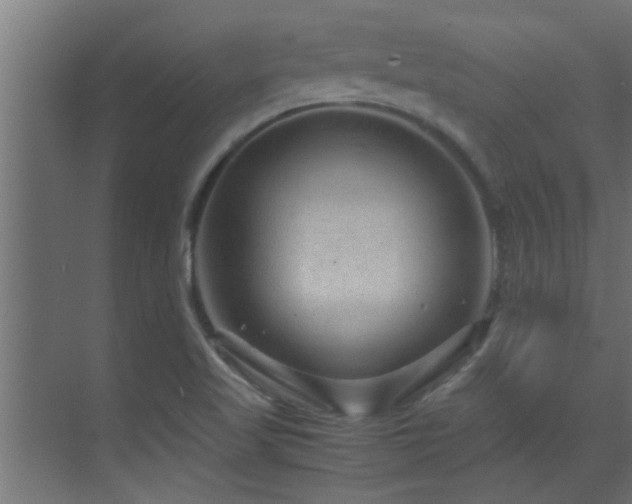 X0000070211509200605261238