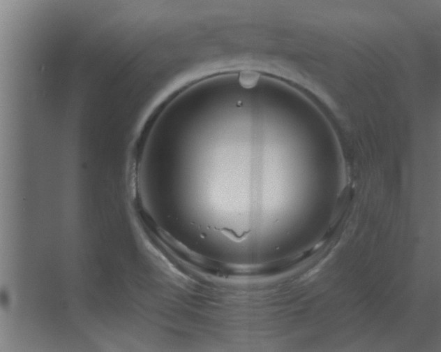 X0000070211510200605261238