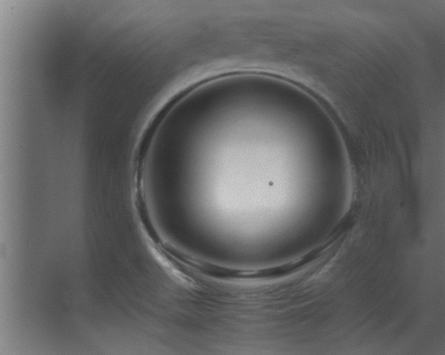 X0000070211511200605261238