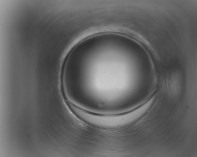 X0000070211512200605261238