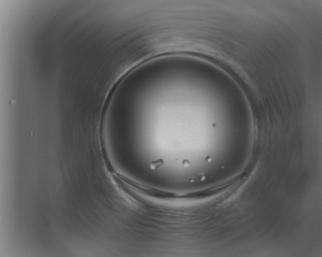 X0000070211513200605261239