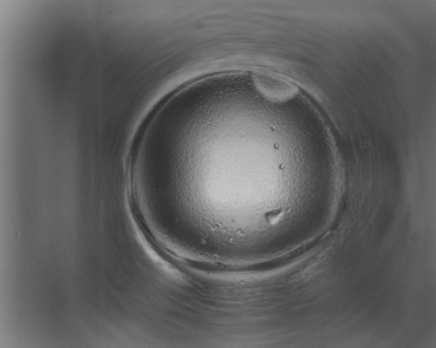 X0000070211515200605261239