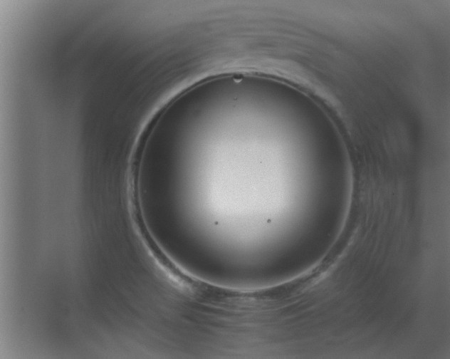 X0000070211517200605261239