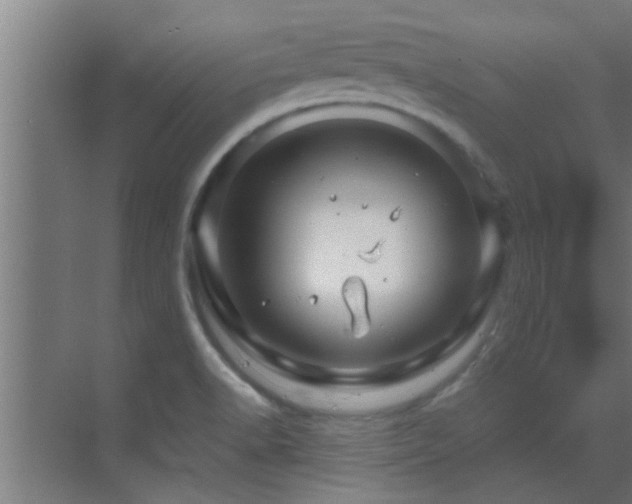 X0000070211518200605261239