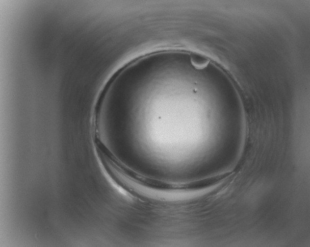 X0000070211519200605261239