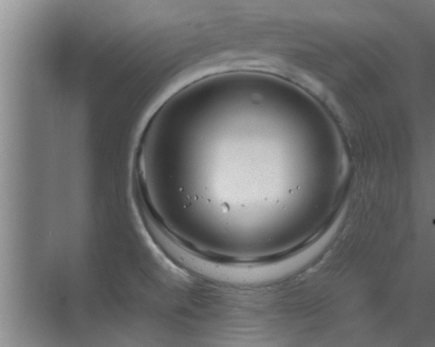 X0000070211520200605261239