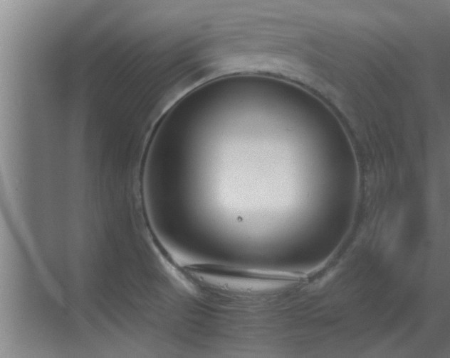 X0000070211521200605261239