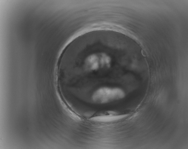 X0000070211522200605261239