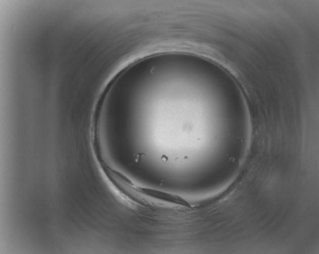 X0000070211523200605261239