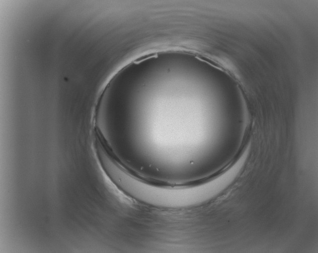 X0000070211524200605261239