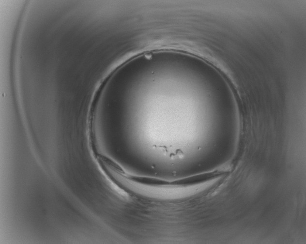 X0000070211525200605261239