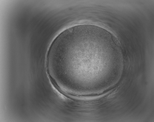 X0000070211527200605261239