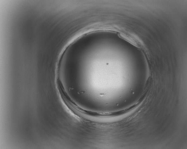 X0000070211528200605261239