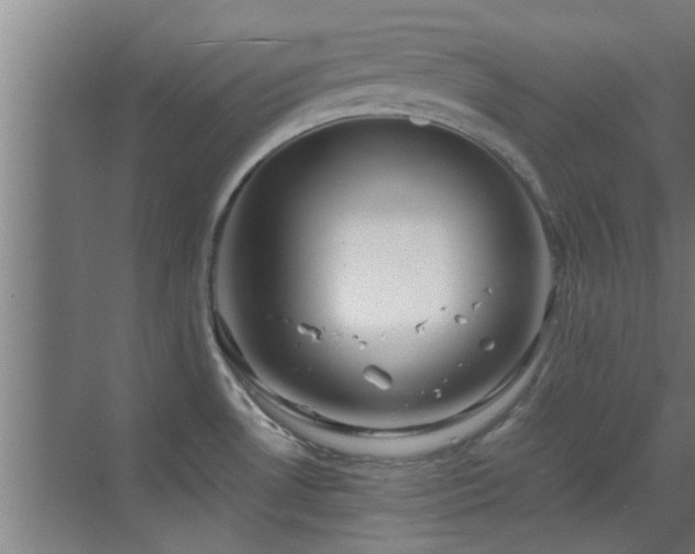 X0000070211530200605261239