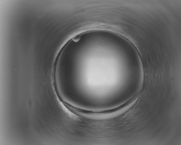 X0000070211531200605261239