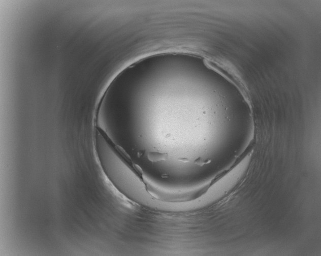 X0000070211532200605261239