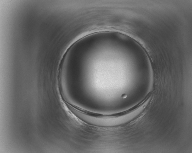 X0000070211534200605261239