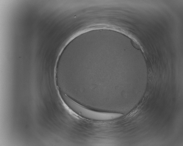 X0000070211535200605261239