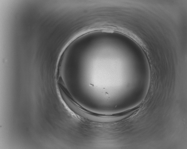 X0000070211536200605261239