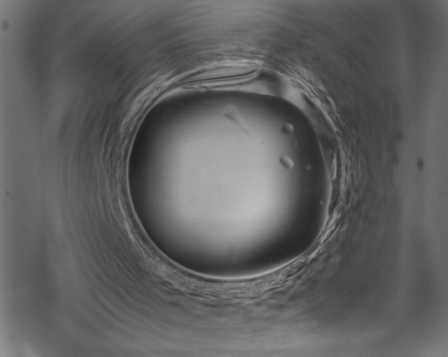 X0000070210001200605301414