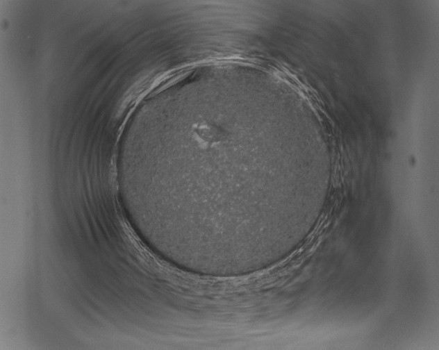 X0000070210002200605301414