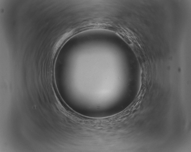 X0000070210003200605301414