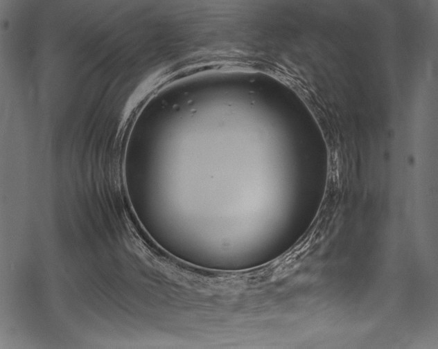 X0000070210004200605301414