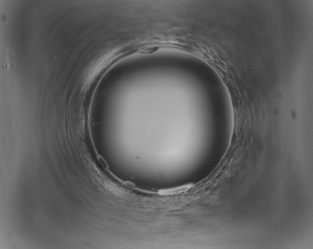 X0000070210005200605301414