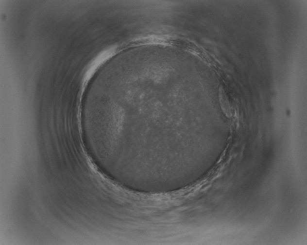 X0000070210006200605301414