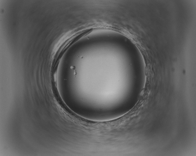 X0000070210007200605301414