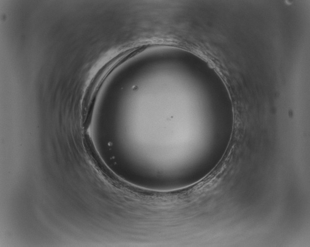 X0000070210008200605301414