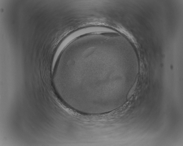 X0000070210009200605301414