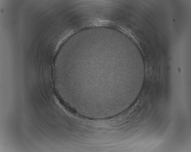 X0000070210010200605301414