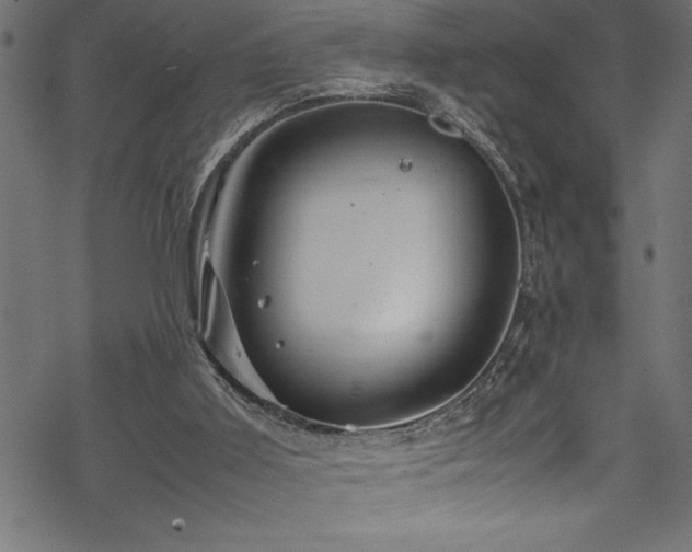 X0000070210011200605301414