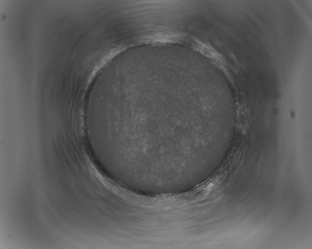 X0000070210012200605301414